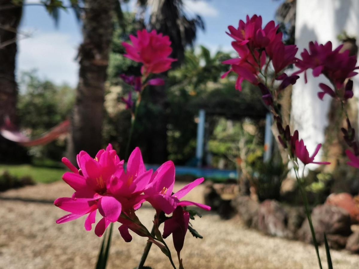 Quinta Do Paraiso เซาเตโอโตนิโอ ภายนอก รูปภาพ