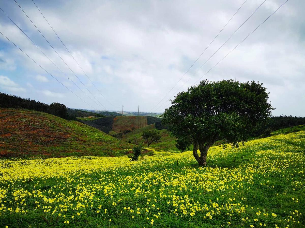 Quinta Do Paraiso เซาเตโอโตนิโอ ภายนอก รูปภาพ